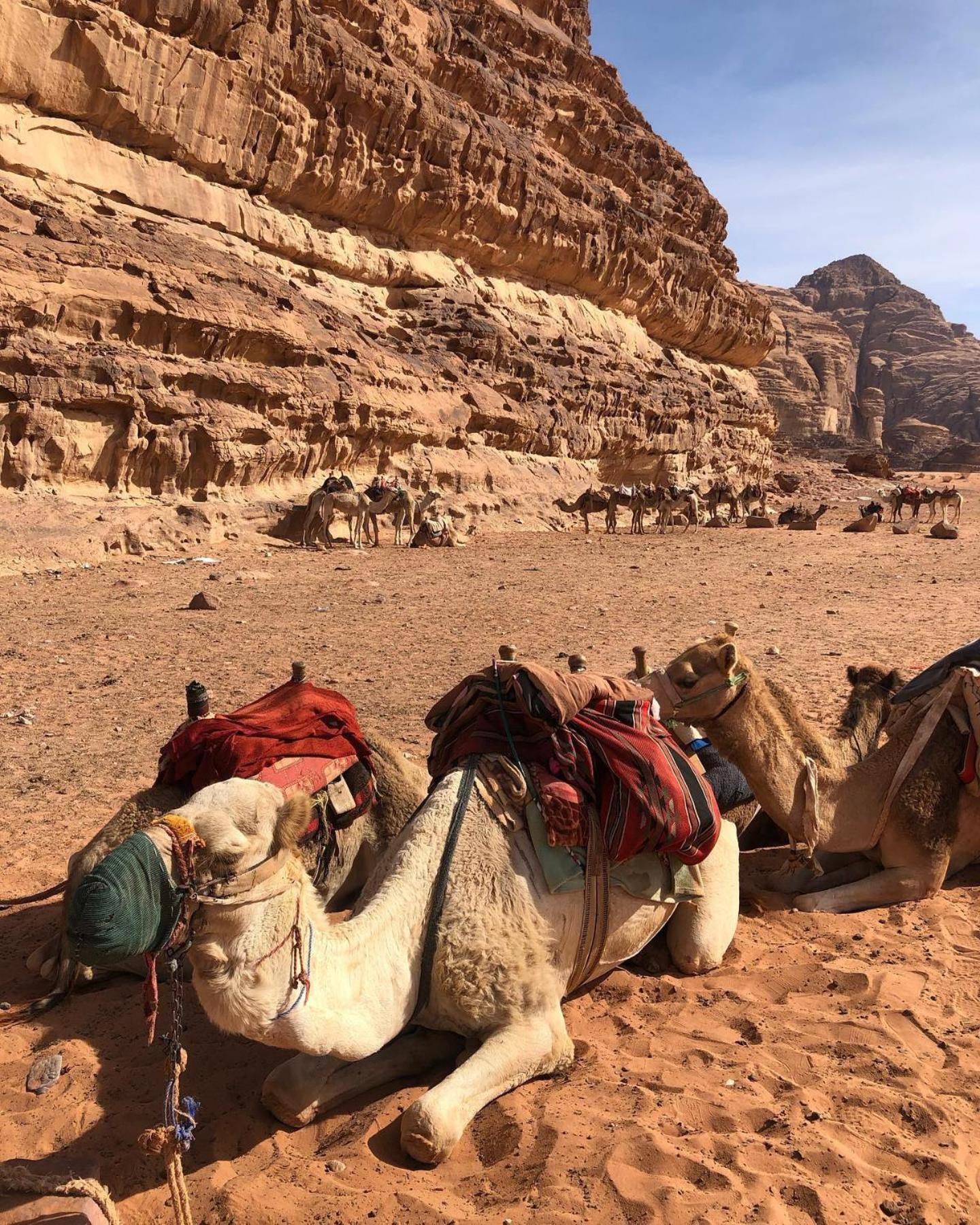 Daniela Camp Wadi Rum Exterior photo